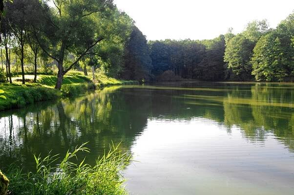 Dolina (Krajková)