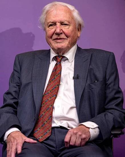 Sir David Attenborough receives the Chatham House Centenary Lifetime Award at an event on October 13, 2021 