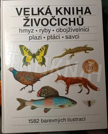 Kniha Velká kniha živočichů - Hmyz, ryby, obojživelníci, plazi, ptáci, savci - Trh knih - online antikvariát