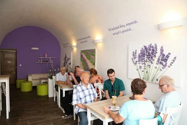 Levandulová kavárna Zábřeh | Levandulová farma