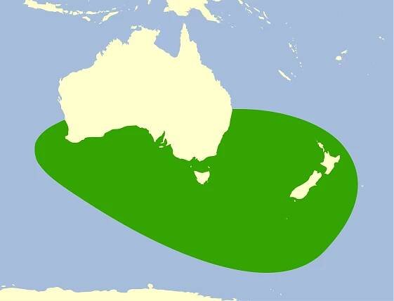Soubor:Arctocephalus forsteri - distribution map.svg