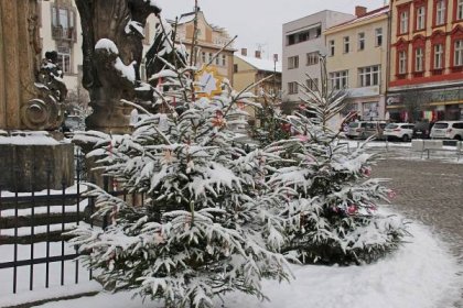 Ve Dvoře Králové nad Labem rozsvítí vánoční strom v pátek 1. prosince - Dvůr Králové nad Labem