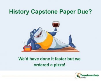 theprofessorshelp-history-capstone-project-writing-helpn