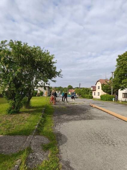 Kácení máje 30.5.2025 - Oficiální stránky obce Provodov