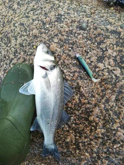Diaporama - SURF CASTING CLUB DE CAEN