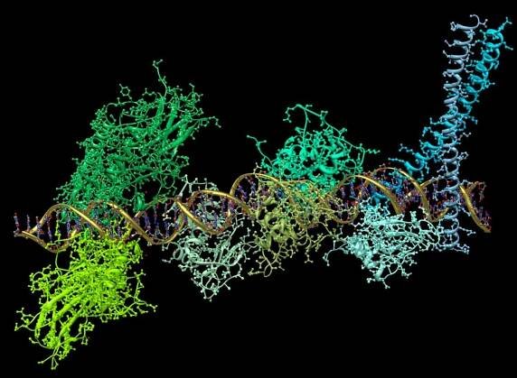 mRNA drugs could protect against almost any kind of viral infection