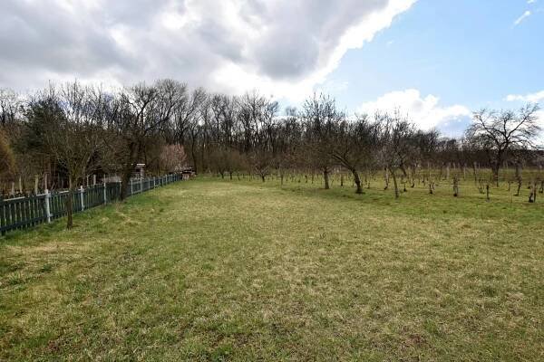 Prodej pozemku, 1.351 m2 pro výstavbu RD v obci Milovice u Mikulova - Reality Rajhrad