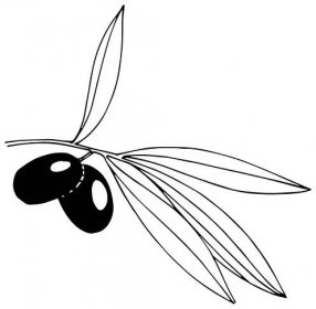 Olivovník ve stylu vektor, samostatný. — Ilustrace