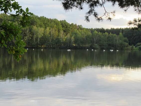 Planá nad Lužnicí láká na nevšední přírodu i kulturu