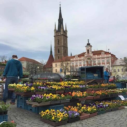 Čáslavské trhy. Tradice téměř 700 let - Máme rádi Čáslav