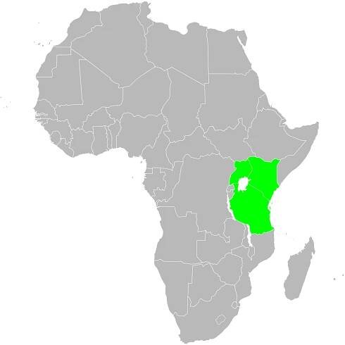 User:DexDor/Categorization of organisms by geography - Wikipedia