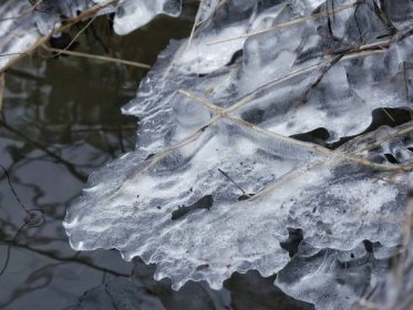 Ledohrátky na řece aneb jak fotograf potkal omrzliny v zimním království