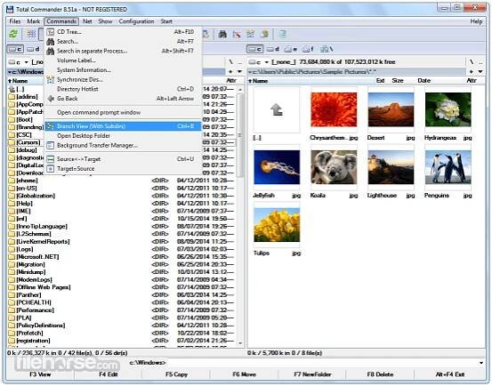 Total Commander 11.56 (64-bit) Screenshot 3