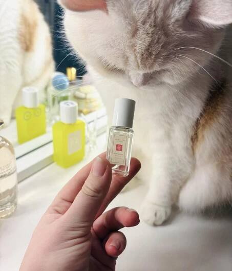 Raspberry Ripple Jo Malone London pro ženy a muže