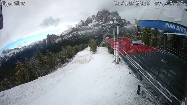 Bigontina