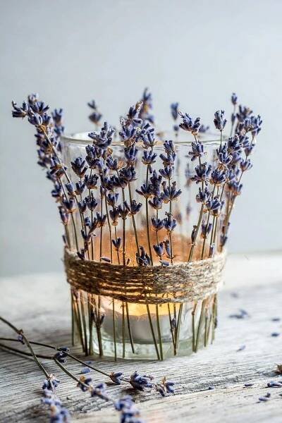 lavender flowers in a glass vase on a wooden table with water and dried herbs around it