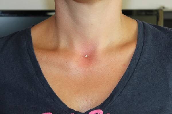 bluebird tattoo - Piercings