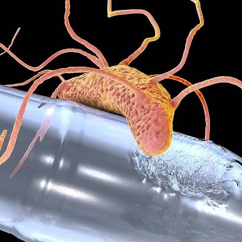 Plastic-eating bacteria: Genetic engineering and environmental impact