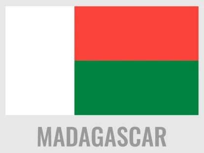 ikona vlajky madagaskaru. značka země. obdélníkový tvar. vektorový obrázek - madagascar flag stock ilustrace