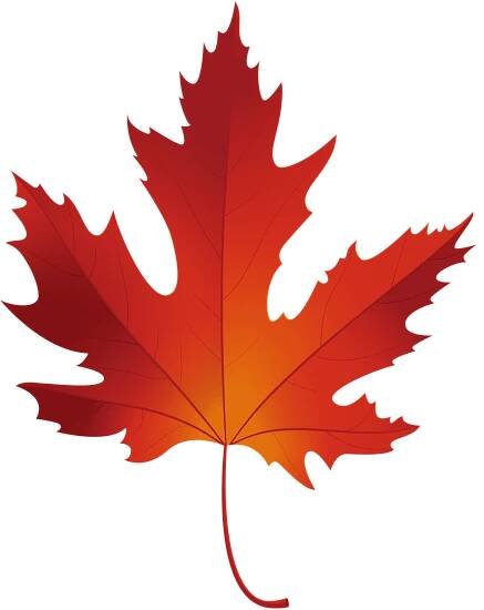 maple-leaf