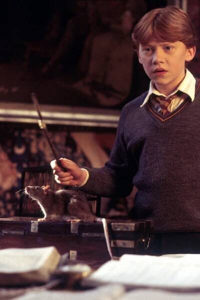 Harry Potter a Tajemná komnata (2002)