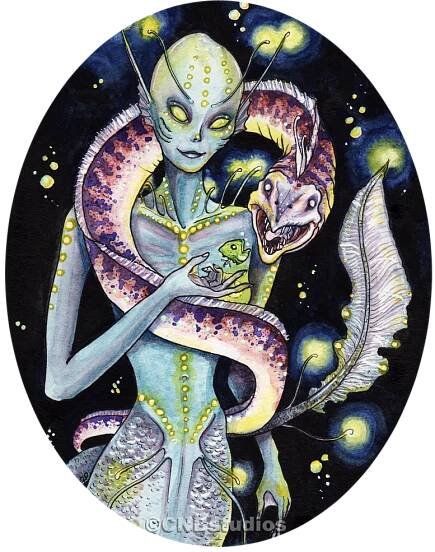 Illustrations - CNBstudio