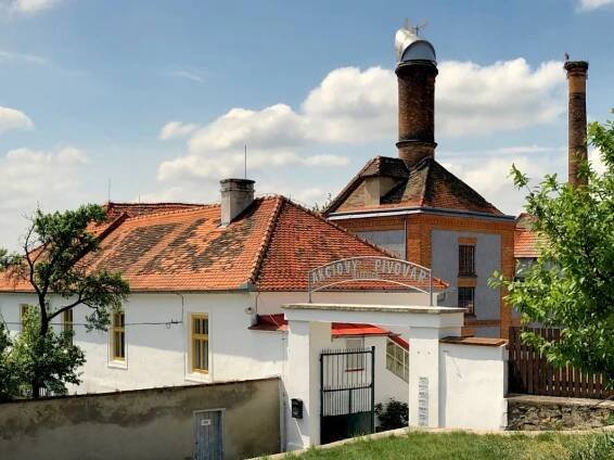 AKCIOVÝ PIVOVAR DALEŠICE, a.s. 