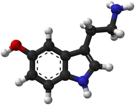 Súbor:Serotonin-Spartan-HF-based-on-xtal-3D-balls-web.png – Wikipédia