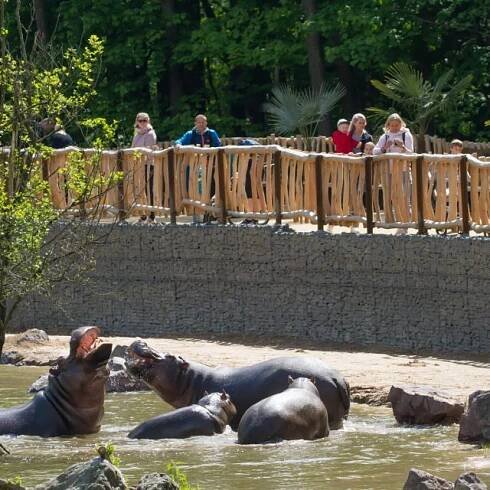 Návštěvníkům Safari Parku Dvůr Králové slouží v Údolí hrochů nový most | foto: Simona Jiřičková