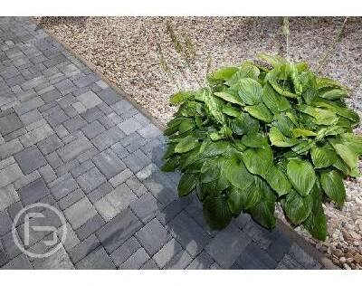 Zámková dlažba Brandenburg Prato černo-bílá tl.6cm - Ferobet