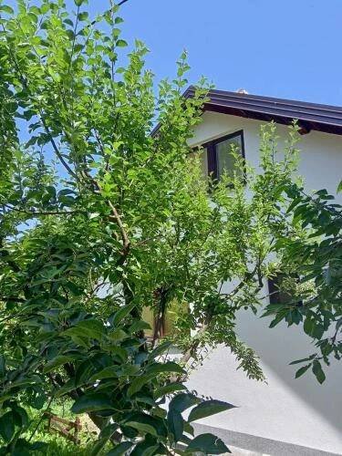 Kuća za odmor Ravne H&N (Kuca za odmor Ravne H&N) in Visoko