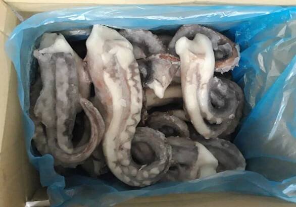 Frozen Sea Food | Argyronisos