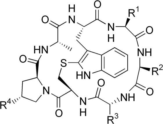 Soubor:Phallotoxins.png – Wikipedie
