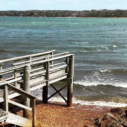 Things to Do on Cape Cod — The Cove Motel