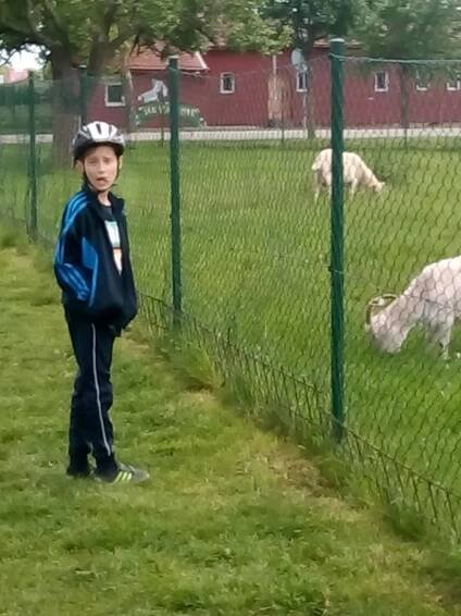 Jižanský dvorek - tip na výlet u místa "Brno" | eMimino.cz