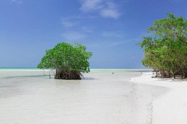Cayo Coco auf Kuba