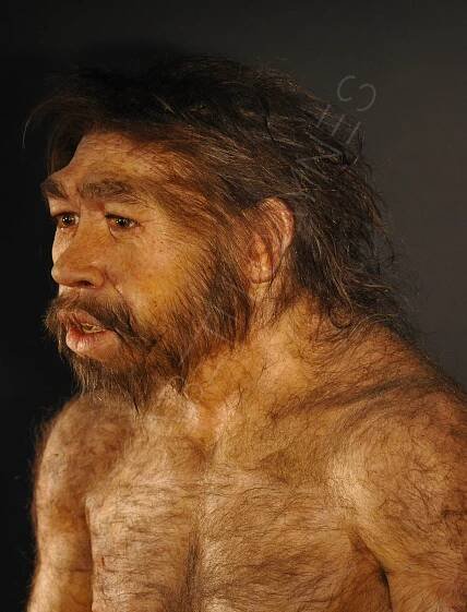 HOMO ERECTUS – Pekin Man