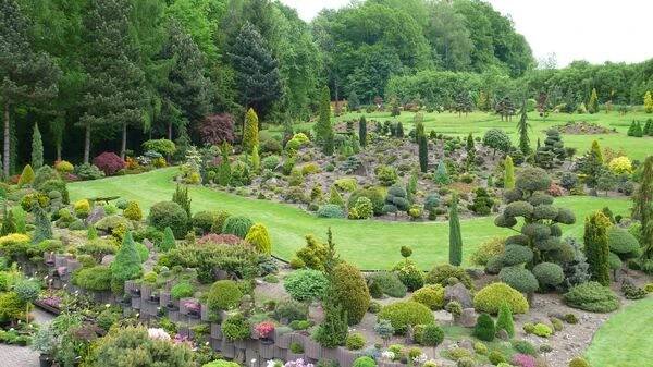 Miniarboretum foto 2