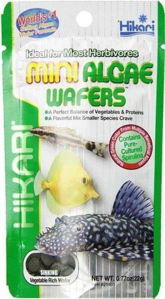Hikari Tropical Mini Algae Wafers 22 g