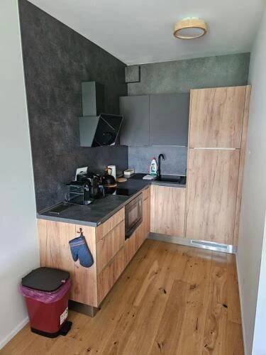 Kuchyň nebo kuchyňský kout v ubytování Ski a Bike Siréna Janské lázně APARTMENT 204