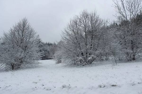 zima-znovu-v-akci-i-pametnici-krouti-hlavou - ZLIN.CZ