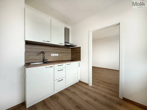 Pronájem bytu 1+1, 34 m² v Litvínově - REALCITY.cz 
