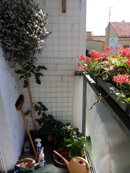 Balkón - Barvy balkónu - Azbestus.cz