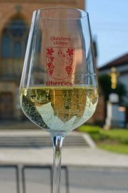 Velikonoční výstava vín | Vína z Moravy a vína z Čech
