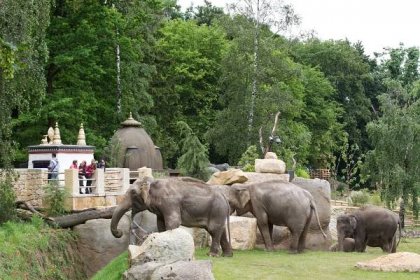 Pražská zoo je podle TripAdvisoru čtvrtá nejlepší na světě