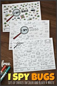 🕸 FREE Printable Life Cycle of a Spider Worksheets for kids Insects Preschool, Insect Activities, Insect Games, Nature Activities, Kindergarten Bugs, Kindergarten Worksheets, Spy Bug