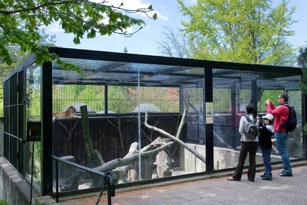 Unikátní liberecká ZOO. Místo, kde uvidíte bílé tygry i vzácné orly nejmenší
