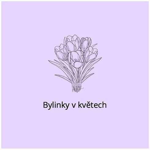 Bylinky v květech