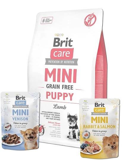 Brit Care Mini Grain Free Puppy Lamb 2 kg + 2x pouch 85g