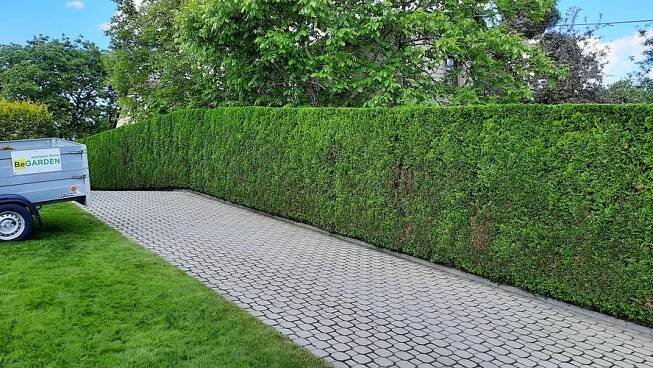 Stříhání okrasných keřů a plotů - BeGARDEN za 490 Kč Krmelín BeGARDEN zahrady - návrhy a realizace zahrad • Firmy.cz